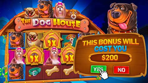 dog house megaways 6 bonus